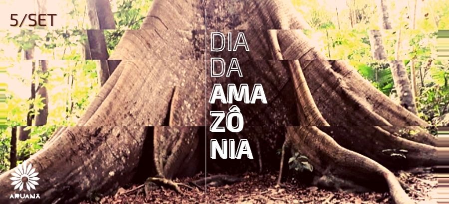 Samauma | Dia da Amazônia