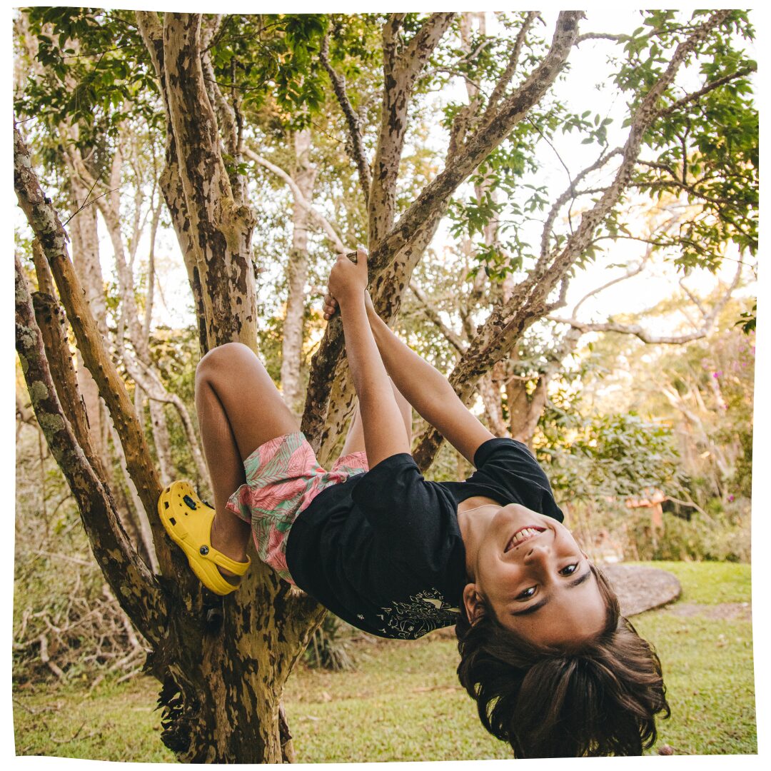 guardião da natureza