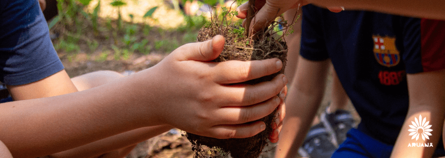 Educação ao ar livre é o futuro da aprendizagem infantil.