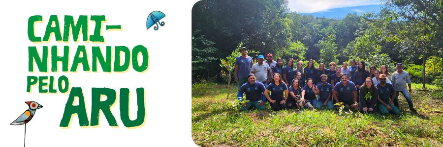 Caminhando pelo Aru - plantio com a equipe