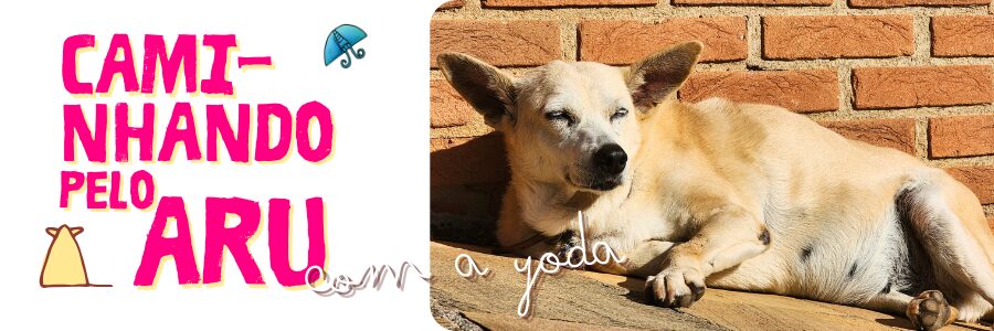 Caminhando pelo Aru com a Yoda