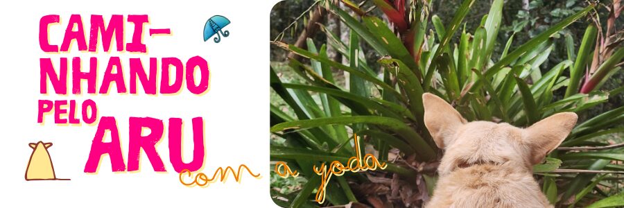 Caminhando pelo Aru com a Yoda