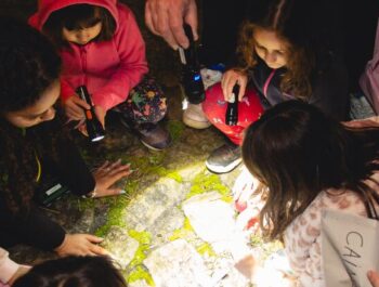 #47 Aruanews: o que se lê sem saber  👓