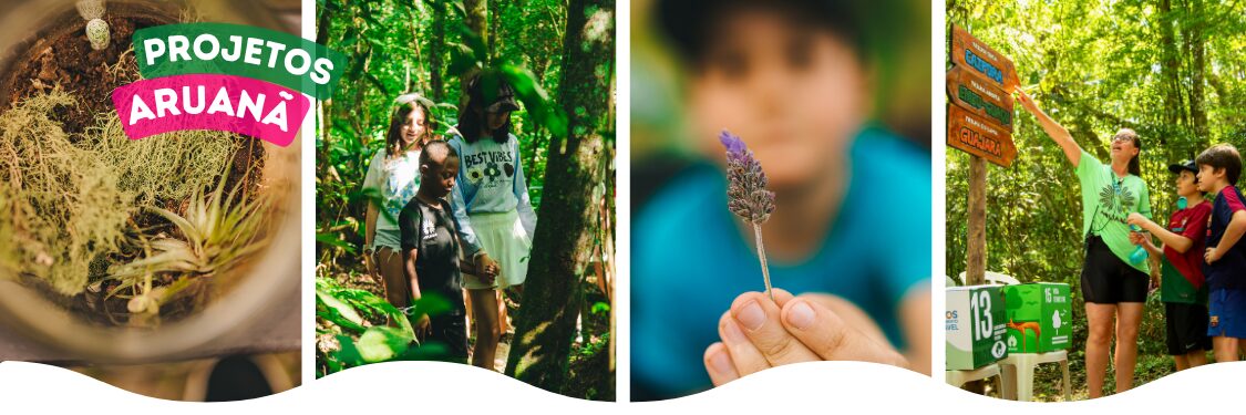 Projetos Aruanã