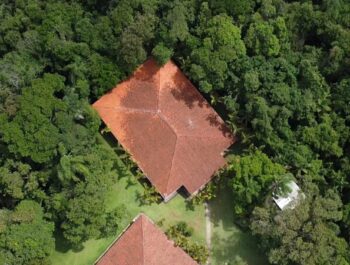 #50 Aruanews: As fofocas da natureza e do Ramon Arzerra 🐿️