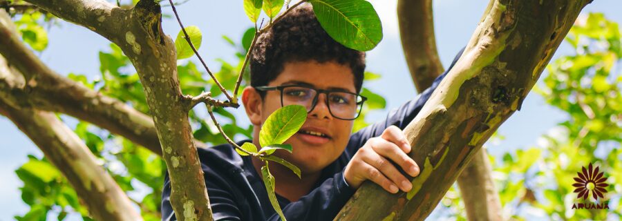 ECA Digital: a nova lei que protege as infâncias 🖋️