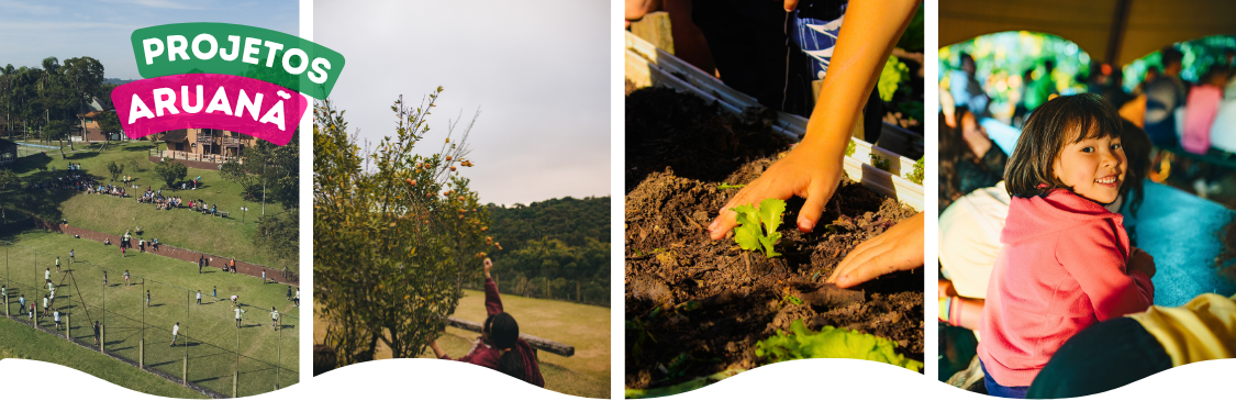 Projetos Aruanã