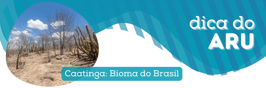 Dica do Aru