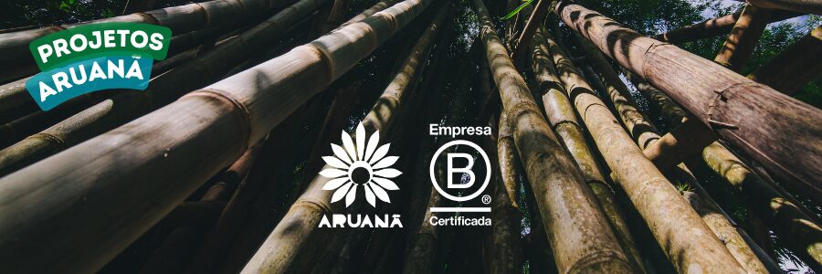 Projetos Aruanã | Empresa B Certificada™!