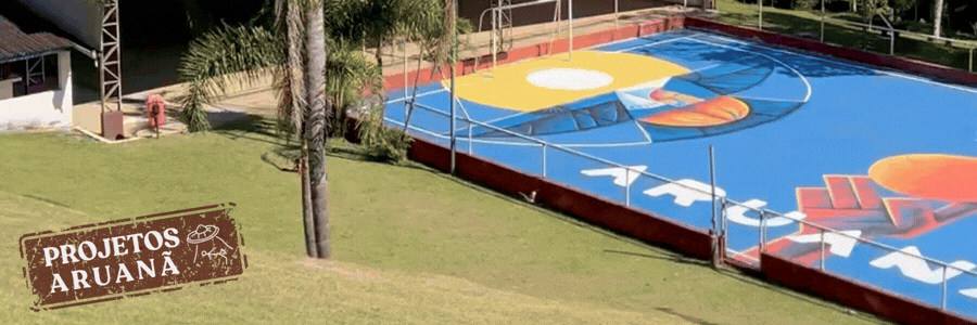 Arte na quadra do Acampamento Aruanã pintada por Ramon Arzerra, com carcará e coruja